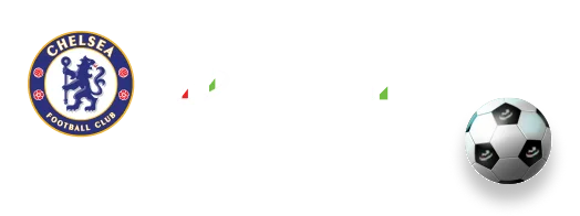 TMGM官网开户 中国官方网站