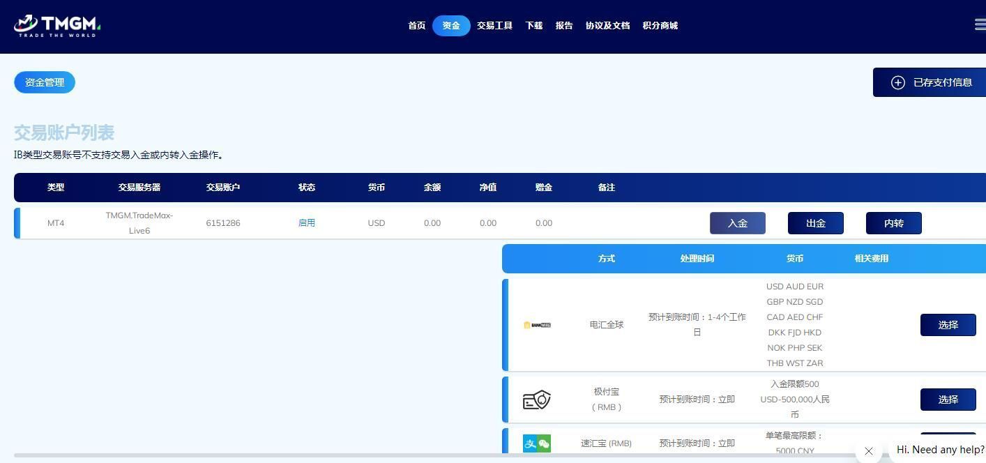 未命名 TMGM入金界面